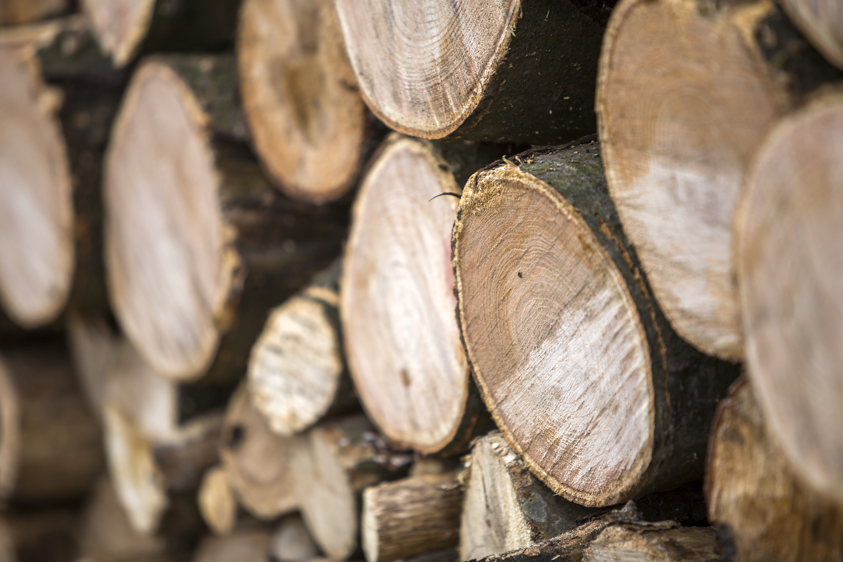 Queue Workers e o Processamento Assíncrono em Aplicações Web Modernas