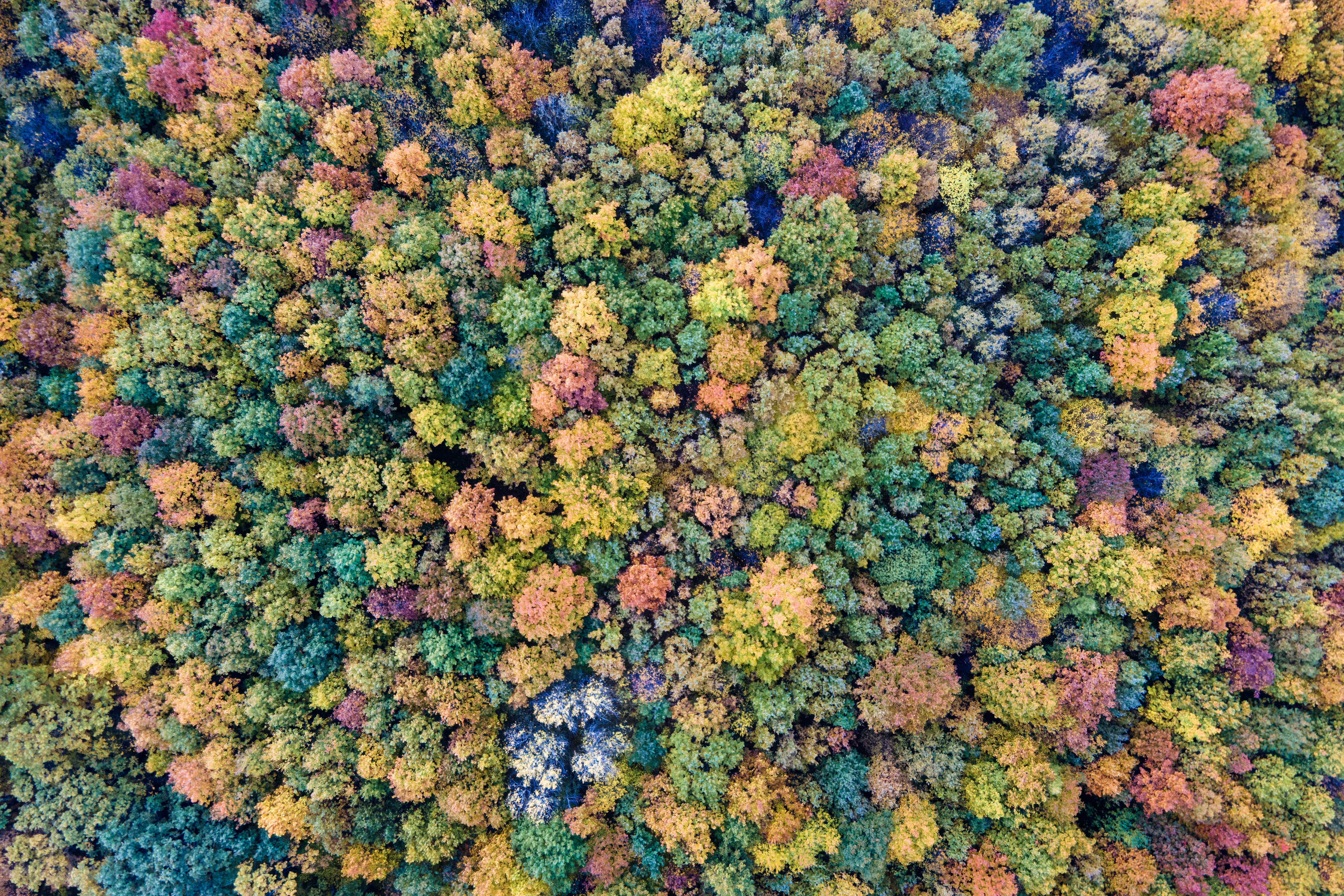 10 Tendências de Design para 2025