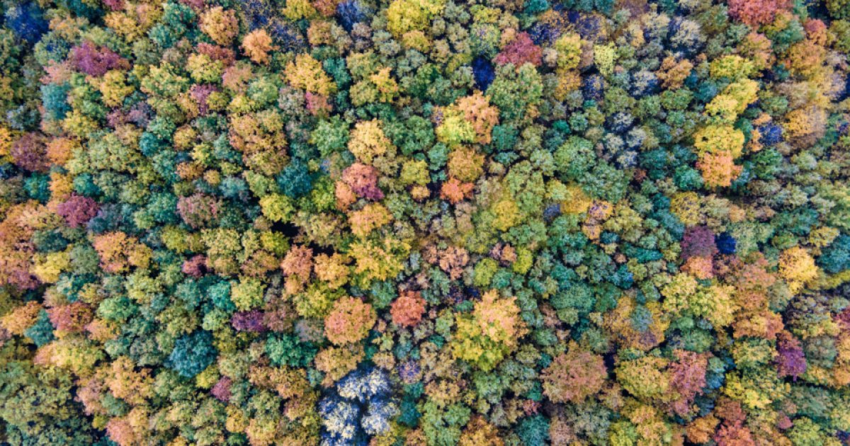 10 Tendências de Design para 2025