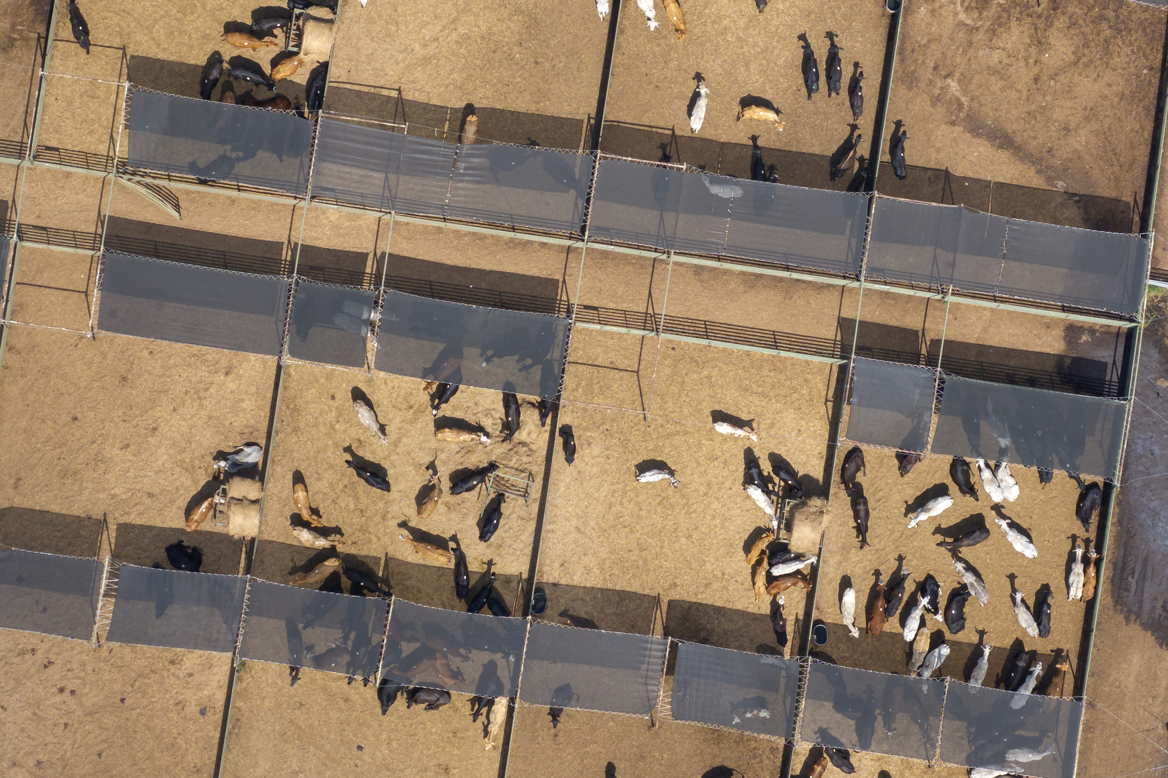 O que é uma Agência de Marketing? A Agência como agente de redução de custos de transação