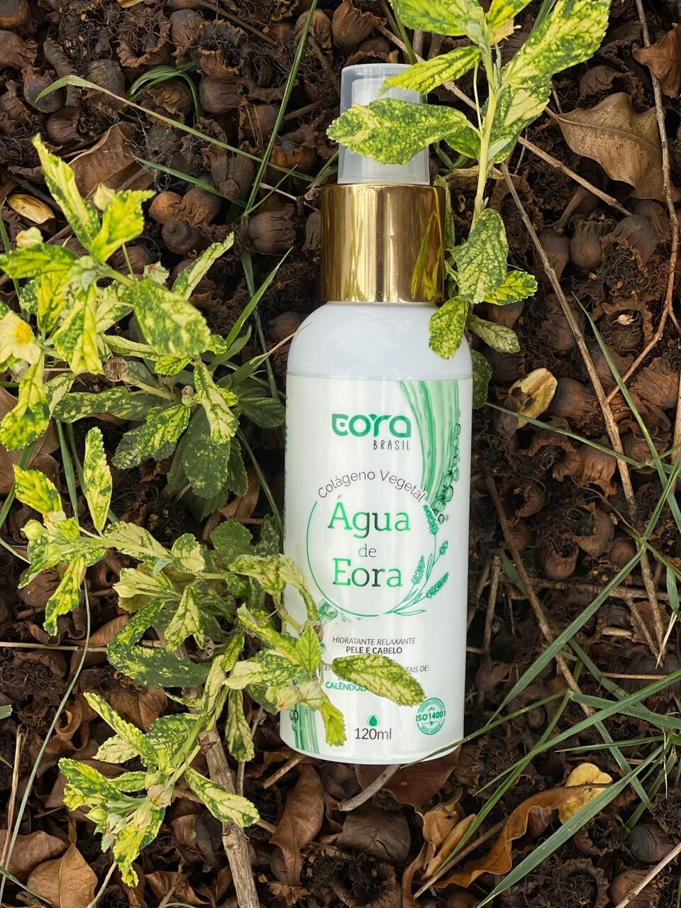 Ensaio de produto de Eora Brasil