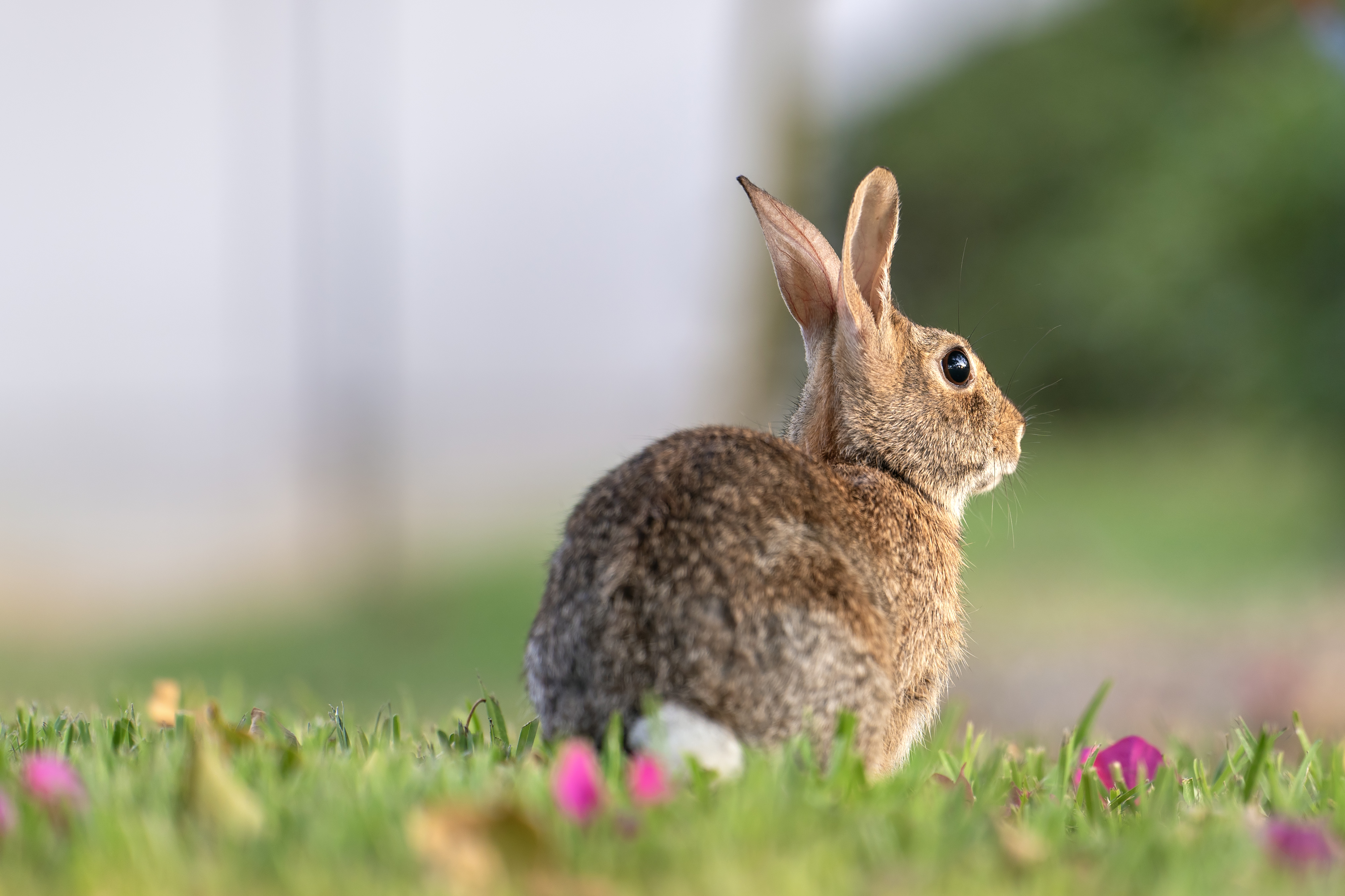 Melhores Estratégias de Marketing para Gerar Vendas em 2026
