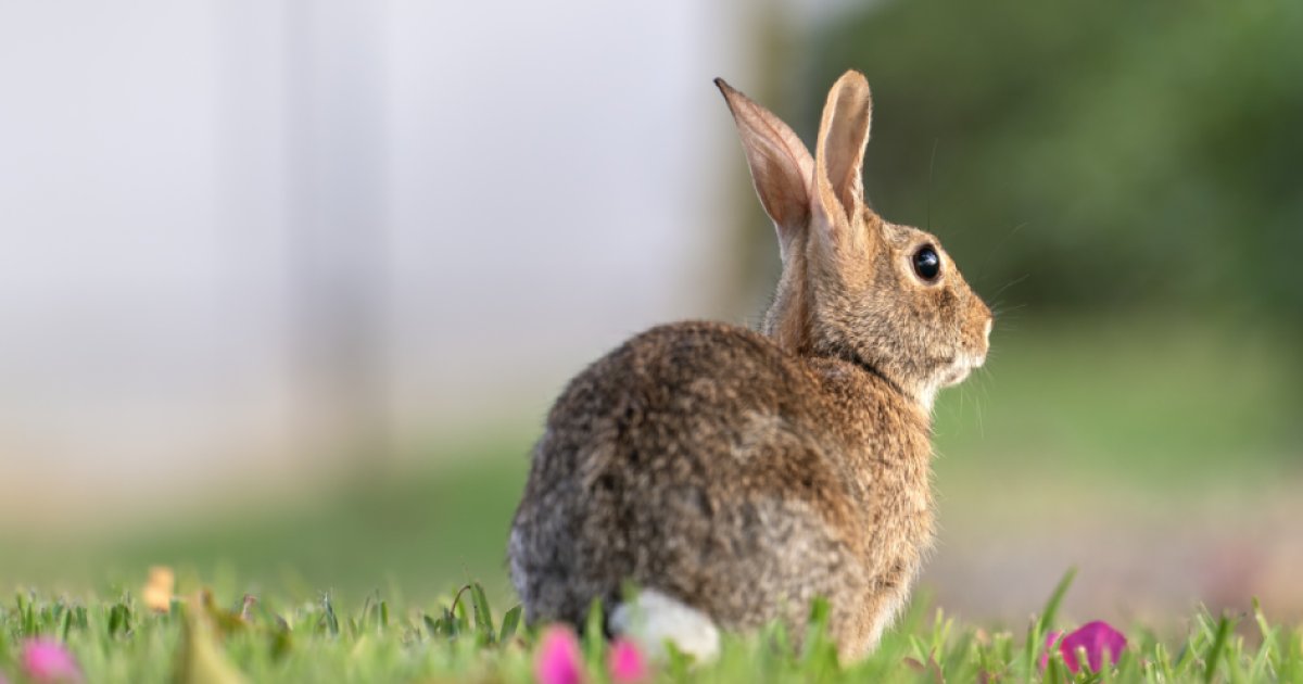 Melhores Estratégias de Marketing para Gerar Vendas em 2026
