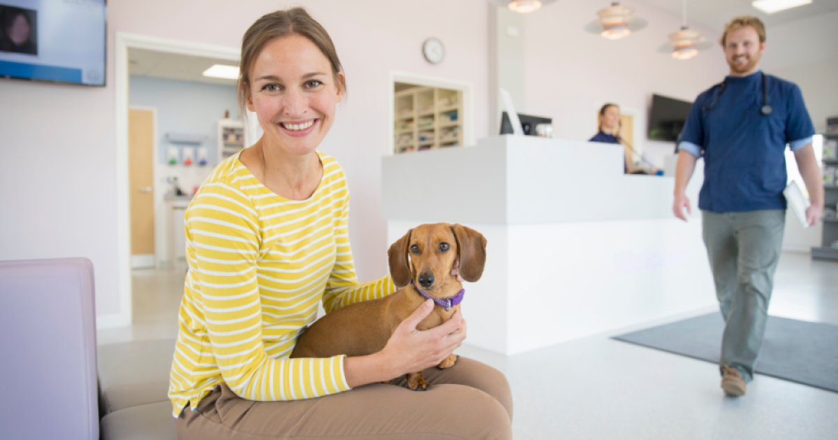 Por que as Agências de Marketing Existem? Um Ensaio Sobre Transações