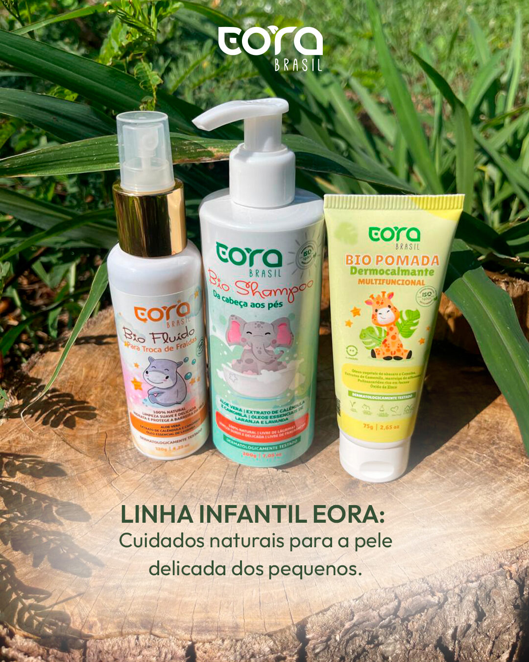 Eora Brasil: peça 4 do marketing para E-commerce