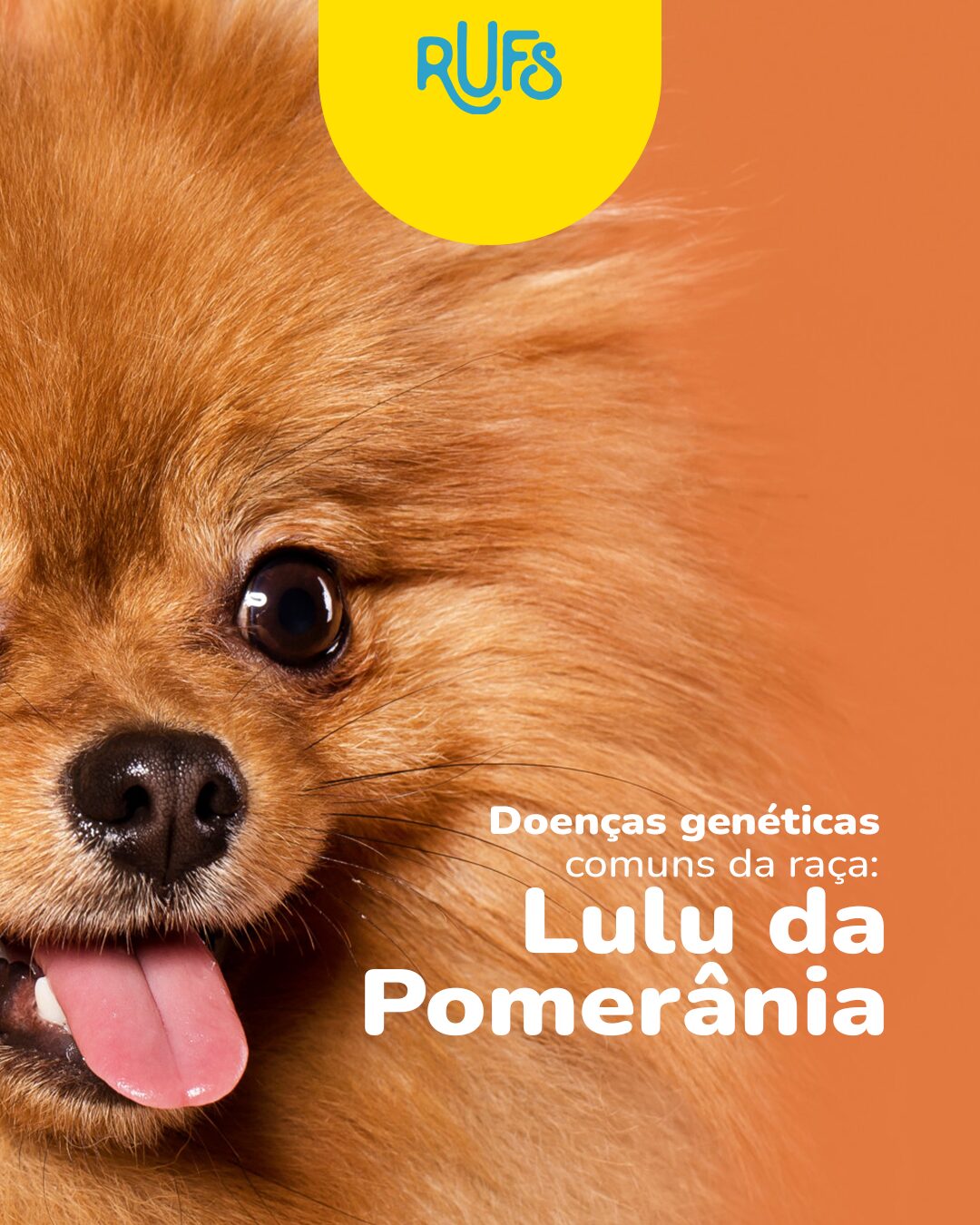 Rufs Pet Shop: peça 1 do marketing para Pet Shops