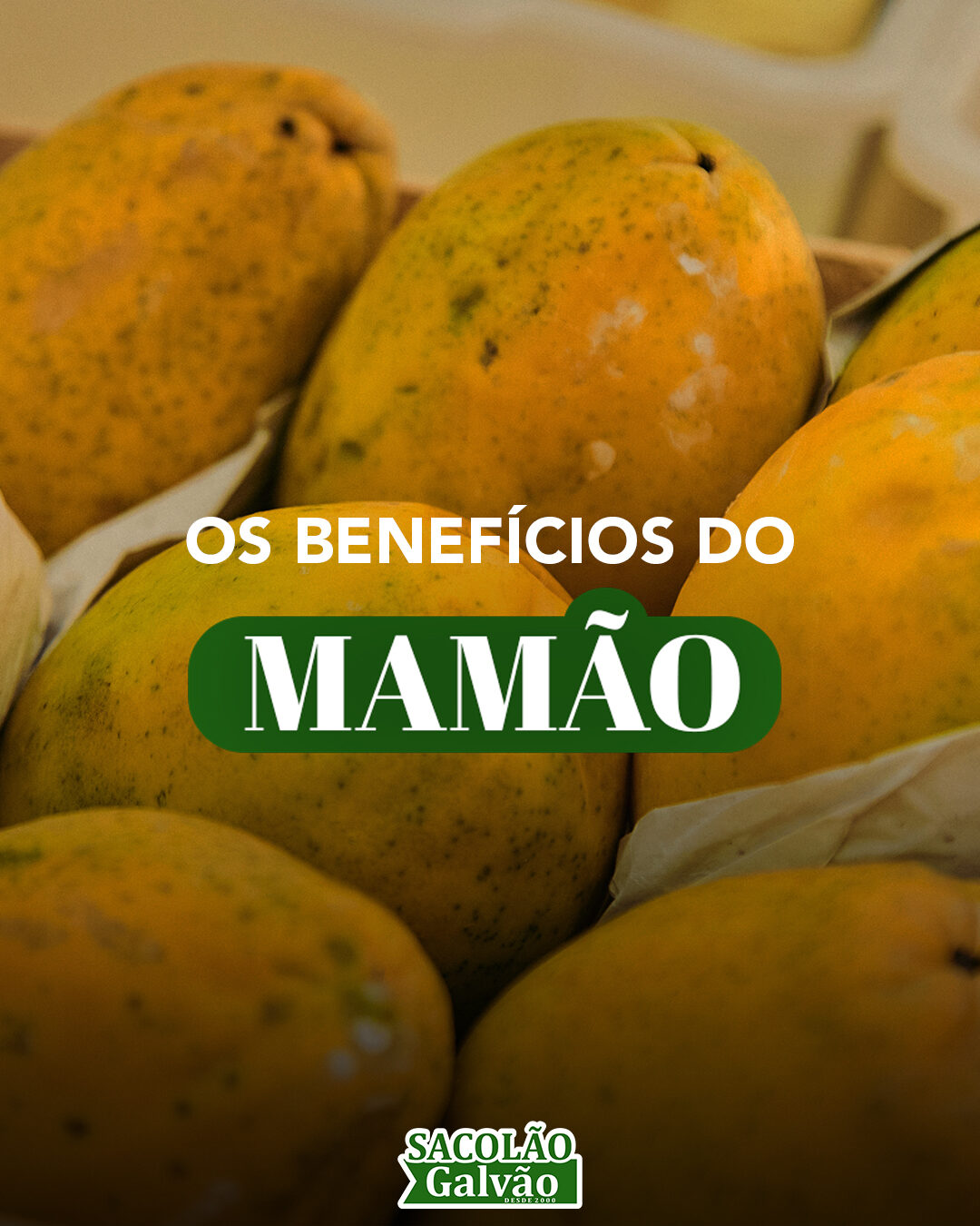 Sacolão Galvão: peça 3 do marketing para Hortifrútis e Mercados
