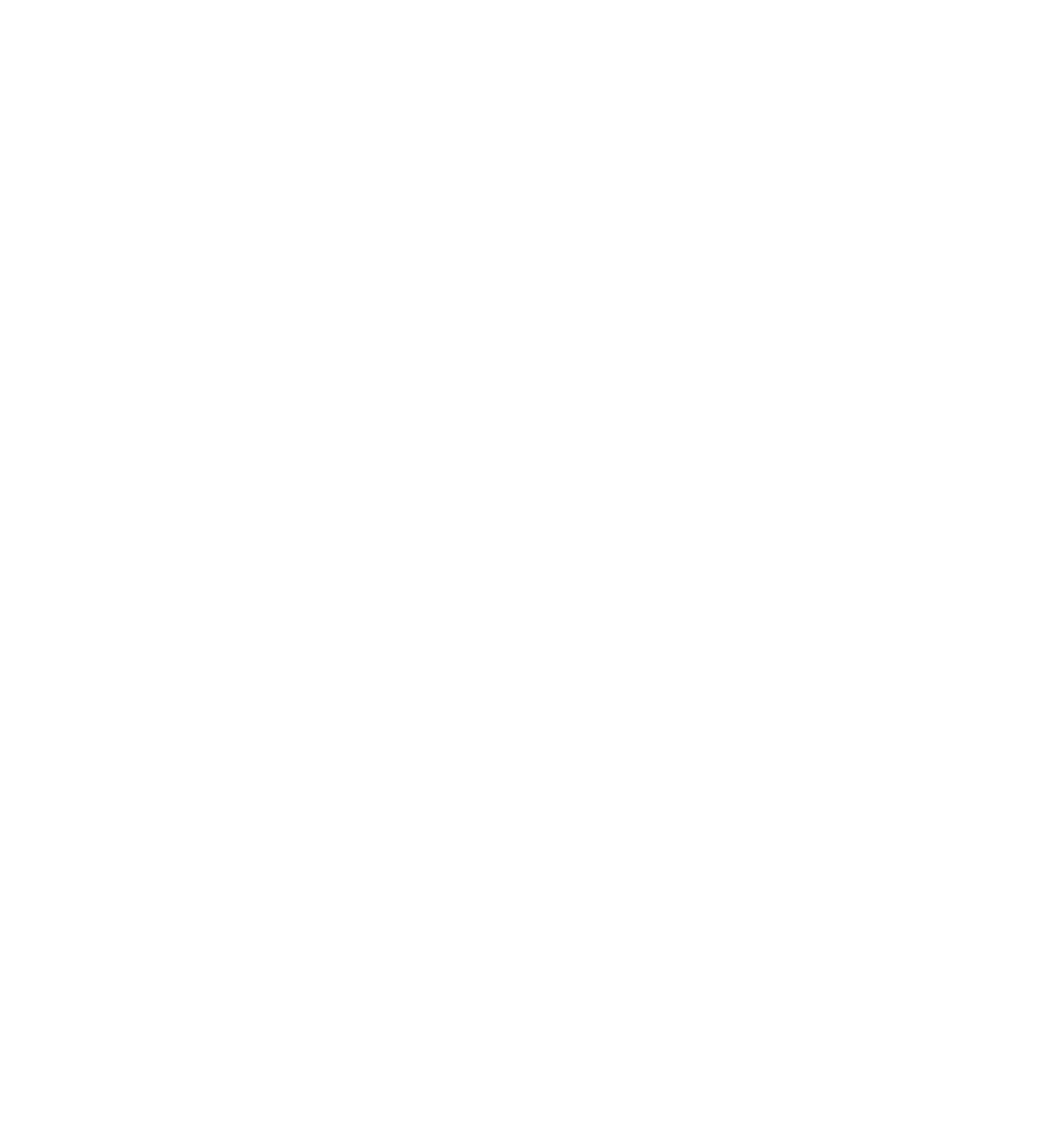 Integrare Logo Background