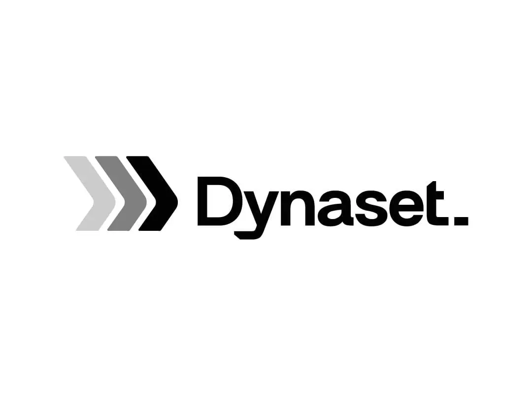 DyNaset Software